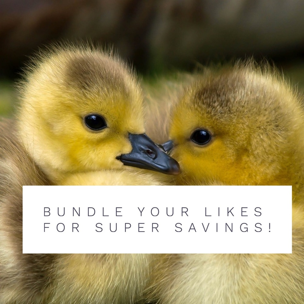 💕🎉 Bundle your Likes for the best Savings! 💕